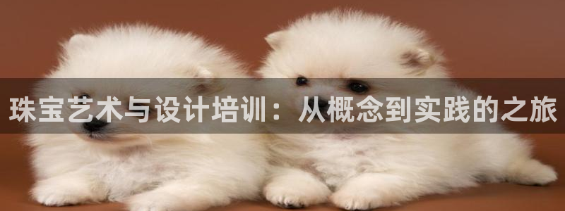 新宝5官方下载地址：珠宝艺术与设计培训：从概念到实践的之旅