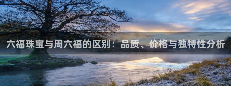 新宝5：六福珠宝与周六福的区别：品质、价格与独特性分析