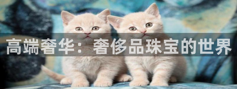 新宝5娱乐没：高端奢华：奢侈品珠宝的世界