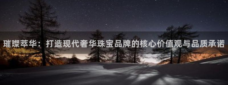 新宝5寻33 300球：璀璨萃华：打造现代奢华珠宝品牌的核心价值观与品质承诺