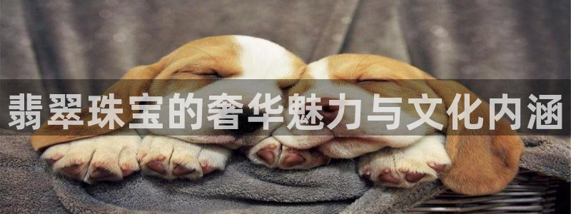 新宝5导师：翡翠珠宝的奢华魅力与文化内涵