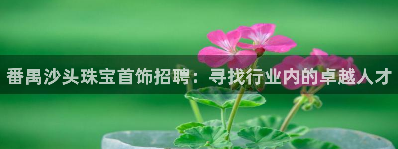 新宝5软件下载：番禺沙头珠宝首饰招聘：寻找行业内的卓越人才