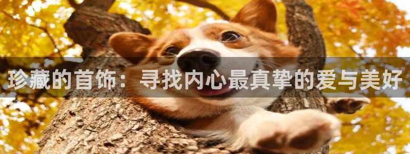 新宝5寻33 300球：珍藏的首饰：寻找内心最真挚的爱与美好