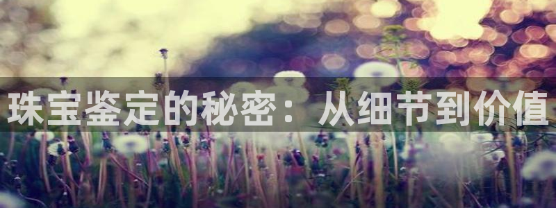 新宝5测速登陆：珠宝鉴定的秘密：从细节到价值