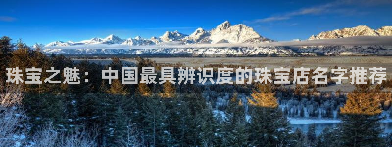 新宝5谠631257：珠宝之魅：中国最具辨识度的珠宝店名字推荐