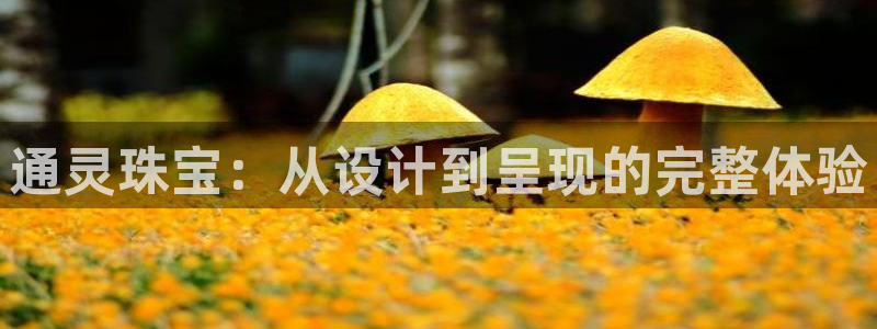 新宝娱乐5入口：通灵珠宝：从设计到呈现的完整体验