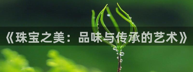 新宝6霸哥5：《珠宝之美：品味与传承的艺术》
