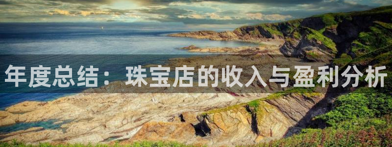 新宝5秒开：年度总结：珠宝店的收入与盈利分析