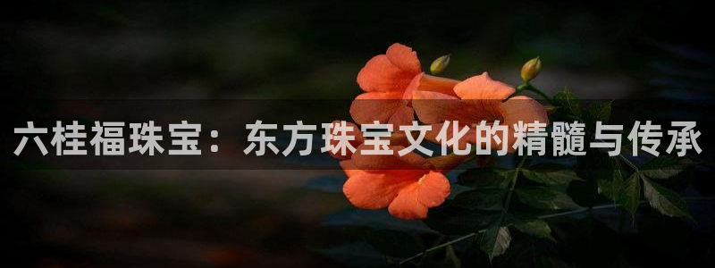 新宝5娱乐如：六桂福珠宝：东方珠宝文化的精髓与传承