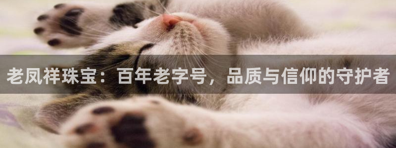新宝5注册霸：老凤祥珠宝：百年老字号，品质与信仰的守护者