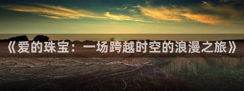 新宝b2O5O5O：《爱的珠宝：一场跨越时空的浪漫之旅》