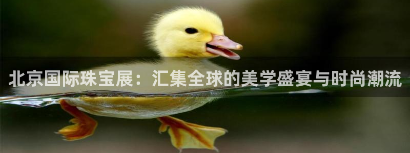 新宝5飞355051：北京国际珠宝展：汇集全球的美学盛宴与时尚潮流