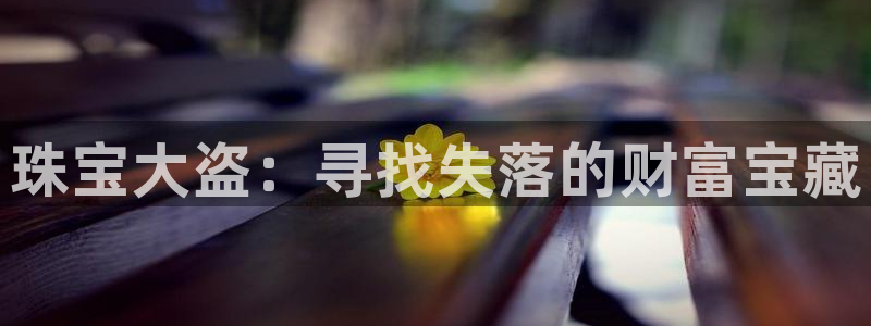 新宝5-：珠宝大盗：寻找失落的财富宝藏