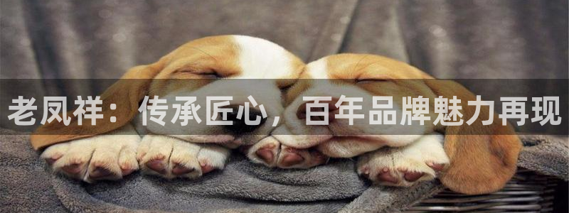 新宝股东瞧听2 5 5：老凤祥：传承匠心，百年品牌魅力再现