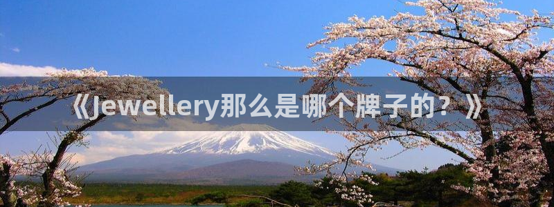 新宝5平台登录下载软件：《Jewellery那么是哪个牌子的？》