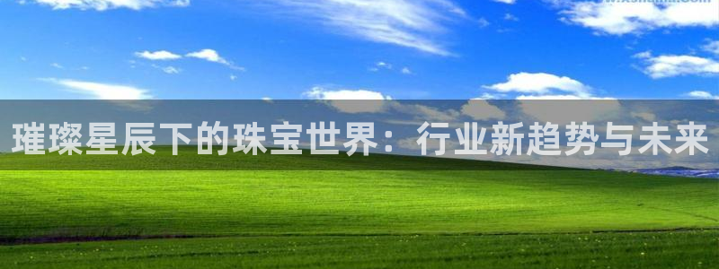 新宝5注册流程：璀璨星辰下的珠宝世界：行业新趋势与未来