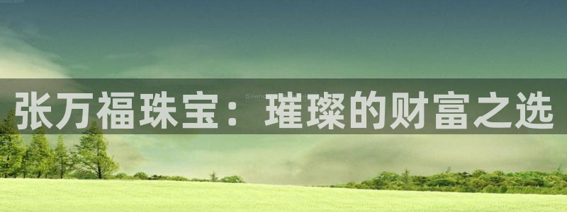 新宝G5：张万福珠宝：璀璨的财富之选