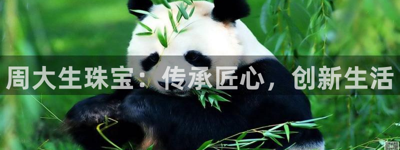 新宝5：周大生珠宝：传承匠心，创新生活