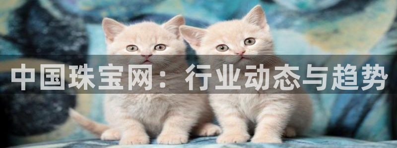 新宝5登陆：中国珠宝网：行业动态与趋势