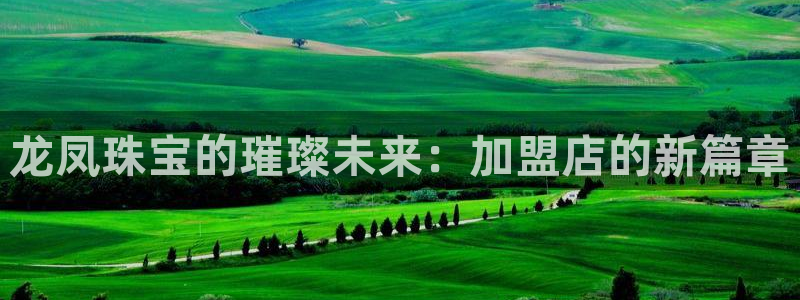 新宝5培训：龙凤珠宝的璀璨未来：加盟店的新篇章