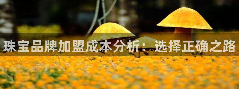 2022新宝骏rs 5：珠宝品牌加盟成本分析：选择正确之路