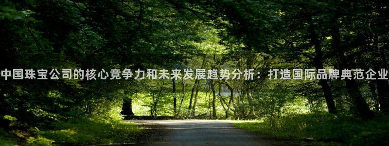 新宝xb5：中国珠宝公司的核心竞争力和未来发展趋势分析：打造国际品牌典范企业