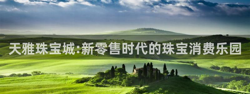 新宝5登录地址：天雅珠宝城:新零售时代的珠宝消费乐园