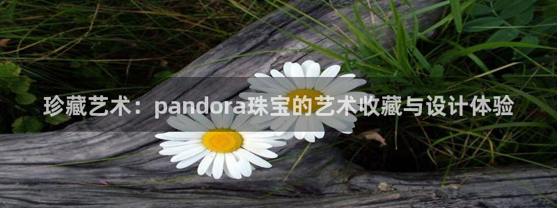 新宝5官方：珍藏艺术：pandora珠宝的艺术收藏与设计体验