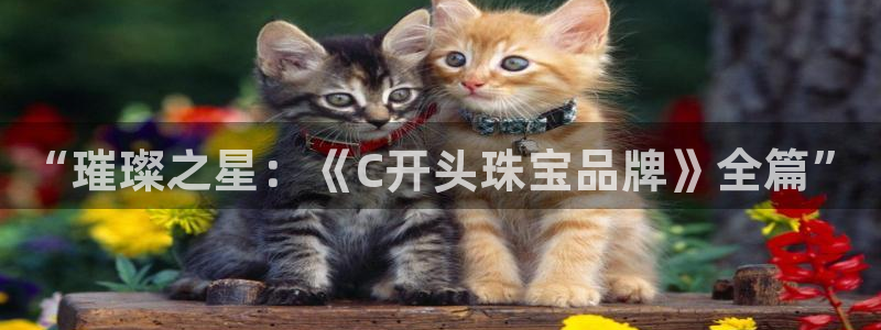 新宝5骗术：“璀璨之星：《C开头珠宝品牌》全篇”