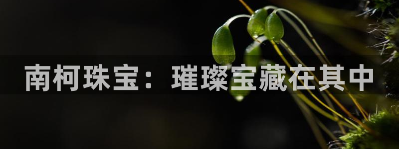 新宝5苹果手机下载：南柯珠宝：璀璨宝藏在其中