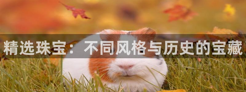 新宝5网站：精选珠宝：不同风格与历史的宝藏