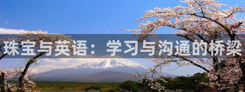 新宝5如何注册：珠宝与英语：学习与沟通的桥梁