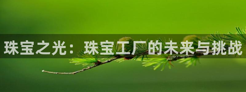 新宝5测速登录：珠宝之光：珠宝工厂的未来与挑战
