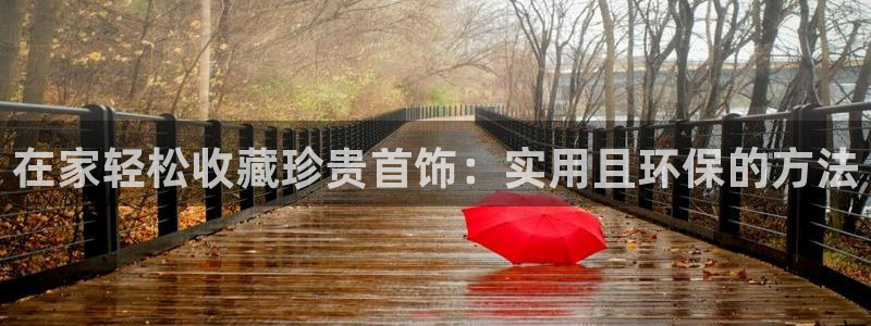 新宝5链接：在家轻松收藏珍贵首饰：实用且环保的方法