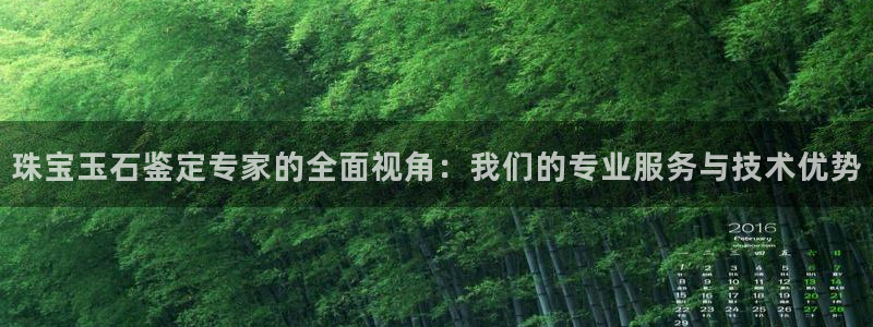 新宝m2O5O5O：珠宝玉石鉴定专家的全面视角：我们的专业服务与技术优势