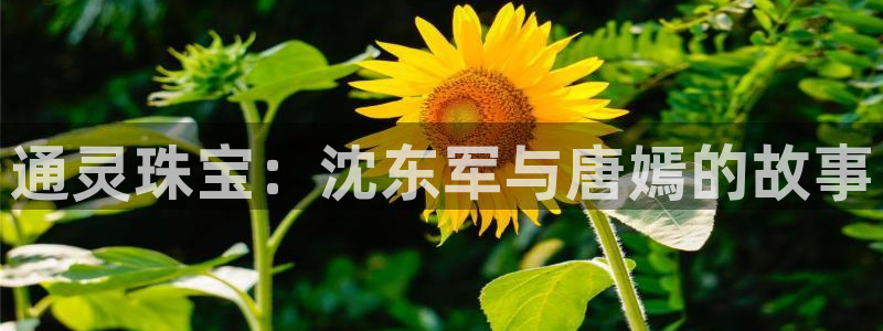 新宝5登录：通灵珠宝：沈东军与唐嫣的故事