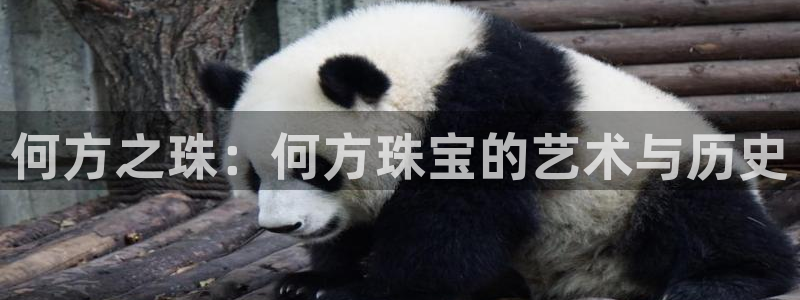 新宝5娱乐如：何方之珠：何方珠宝的艺术与历史