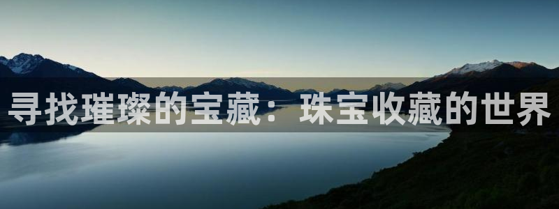新宝那2O5O5O：寻找璀璨的宝藏：珠宝收藏的世界