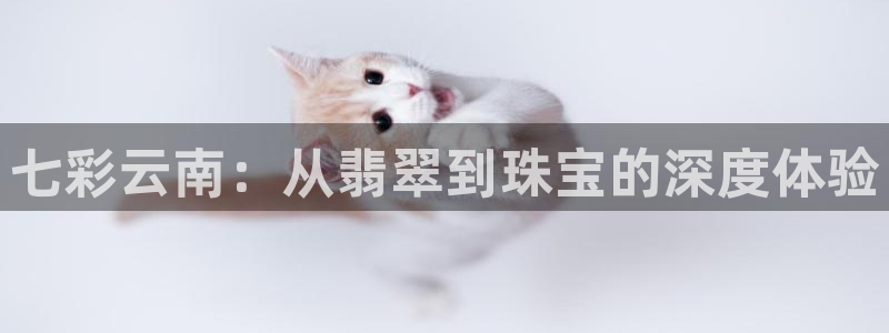 新宝5招商部：七彩云南：从翡翠到珠宝的深度体验