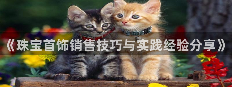 新宝5网址：《珠宝首饰销售技巧与实践经验分享》