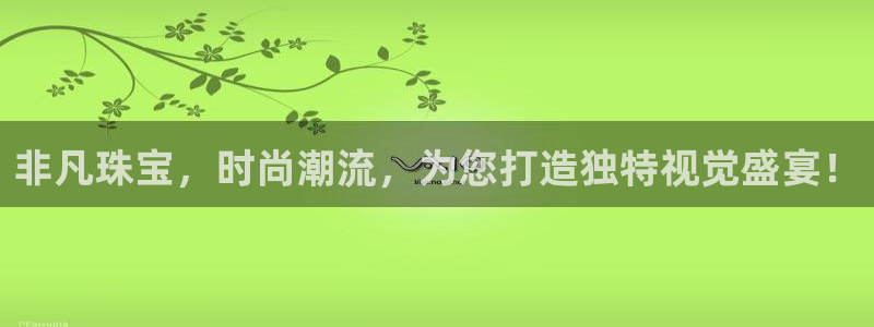 新宝5飞355051：非凡珠宝，时尚潮流，为您打造独特视觉盛宴！