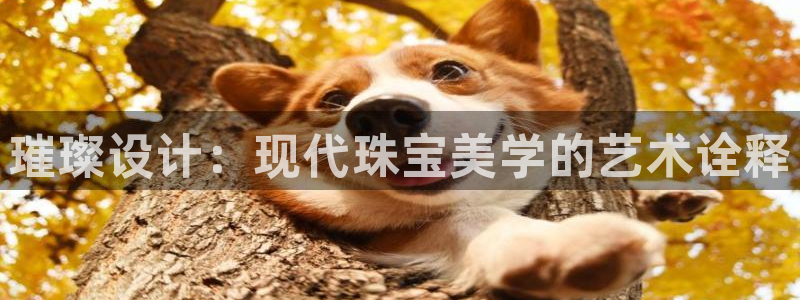 新宝5地址：璀璨设计：现代珠宝美学的艺术诠释