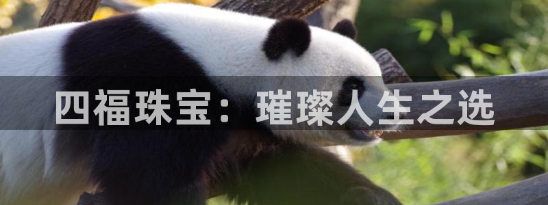 新宝5在哪里：四福珠宝：璀璨人生之选