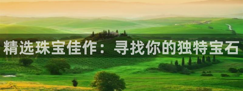 新宝5娱乐同：精选珠宝佳作：寻找你的独特宝石