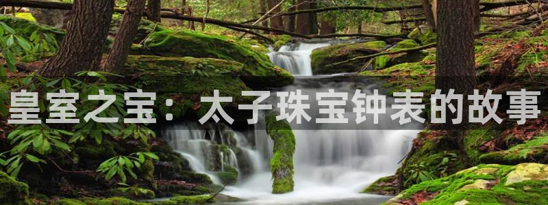 新宝5官方：皇室之宝：太子珠宝钟表的故事