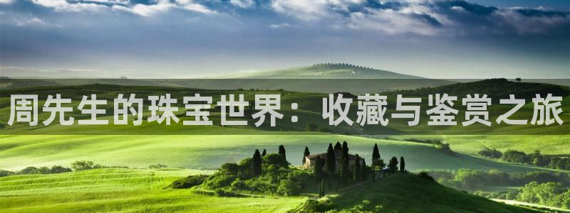 新宝5平台咋样：周先生的珠宝世界：收藏与鉴赏之旅