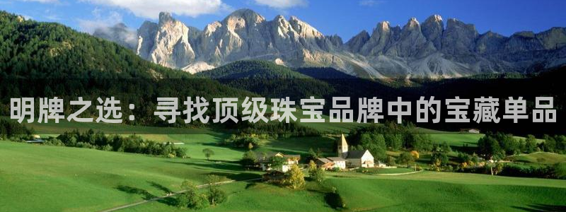 新宝5平台登陆：明牌之选：寻找顶级珠宝品牌中的宝藏单品