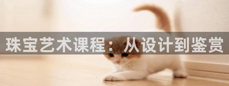 新宝5娱乐经：珠宝艺术课程：从设计到鉴赏