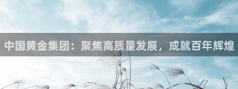 新宝5平台登陆：中国黄金集团：聚焦高质量发展，成就百年辉煌