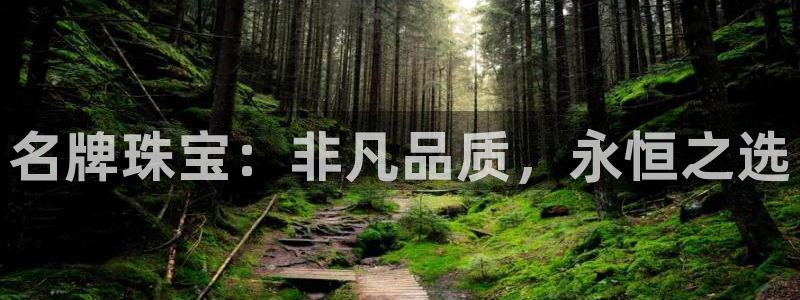 新宝5寻33 300球：名牌珠宝：非凡品质，永恒之选